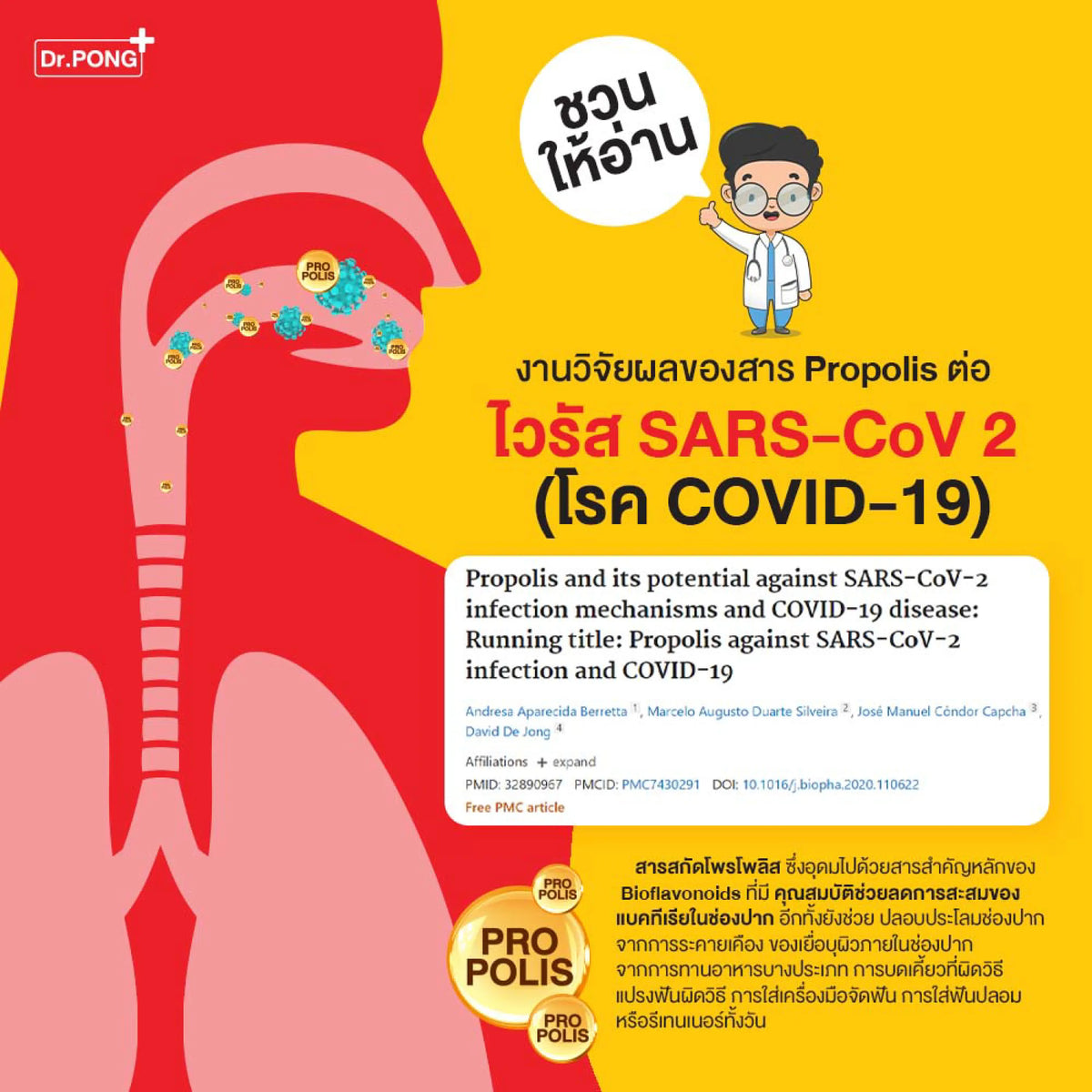 Dr.PONG Bee Propolis Supermint mouth spray เม้าท์สเปรย์ สำหรับช่องปากและคอ พ่นชุ่มคอ บรรเทาเจ็บคอ